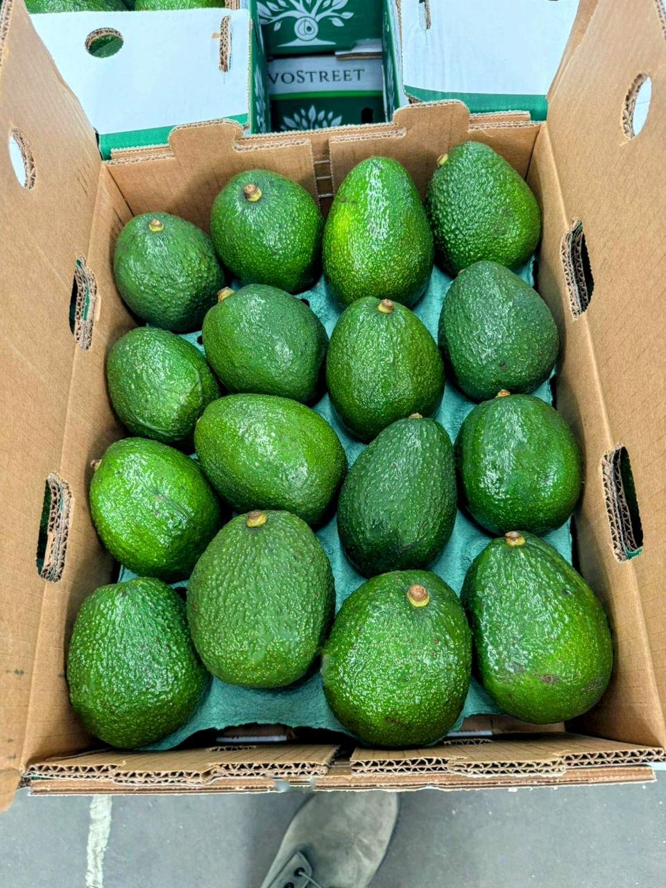 Caja de exportación VoStreet lista para embarque internacional