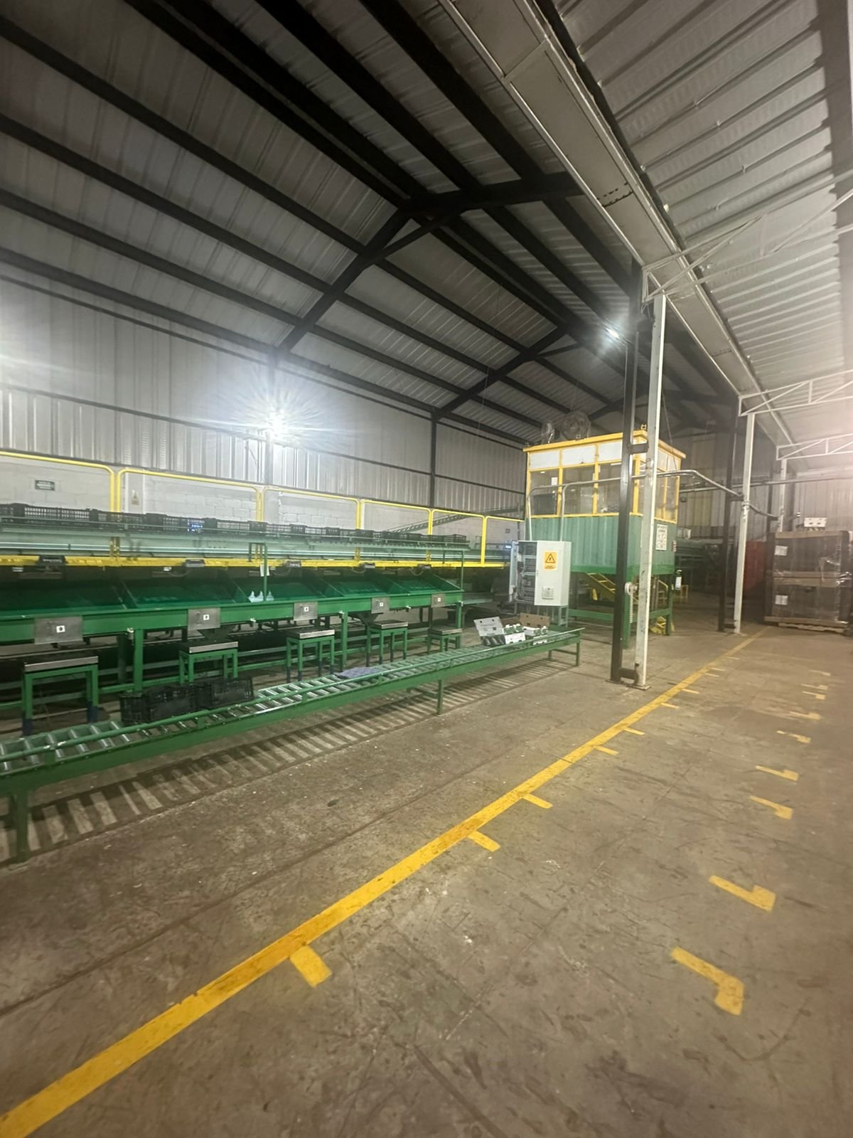 Nave industrial de empaque de Hassmx Capital con banda de selección y anaqueles de canastillas